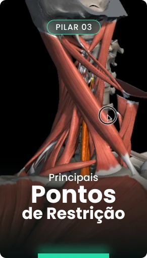 [HERNIAZERO EXP] Pilar-3-v1